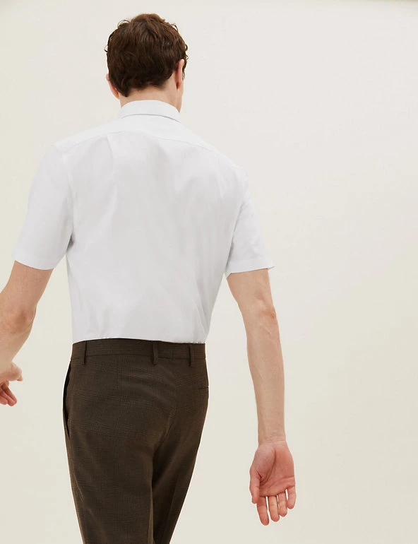 M&S Collection Formal Shirts Regular Fit Non Iron Pure Cotton Oxford Shirt 4 M&S Collection Formal Shirts Regular Fit Non Iron Pure Cotton Oxford Shirt - Image 4